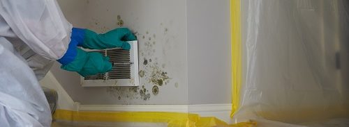 mold remediation Chicago - mold removal - mold cleanup - ServiceMaster Restoration By Simons