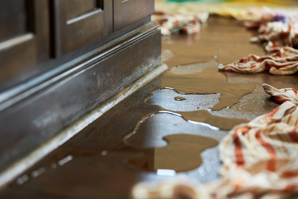 Portage Park Water Damage Cleanup and Restoration Near Me