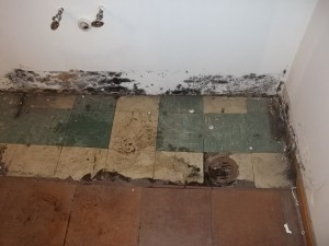floor-mold-300x225-3