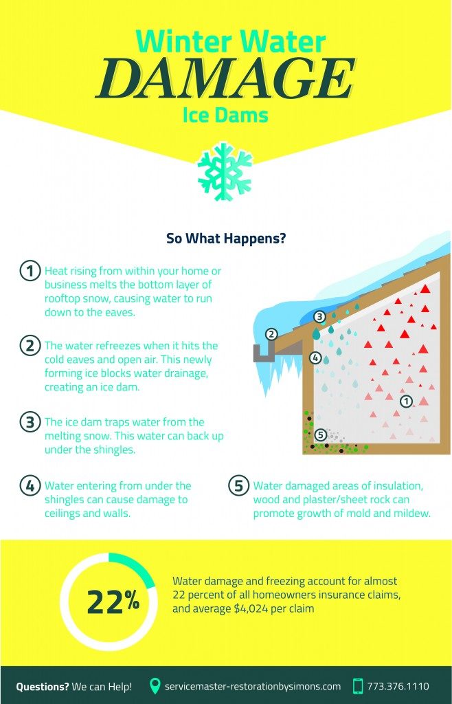 icedams_infographic-2-658x1024-88