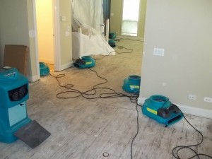 Why You Need a Caring Trauma Cleanup Team in Chicago, IL