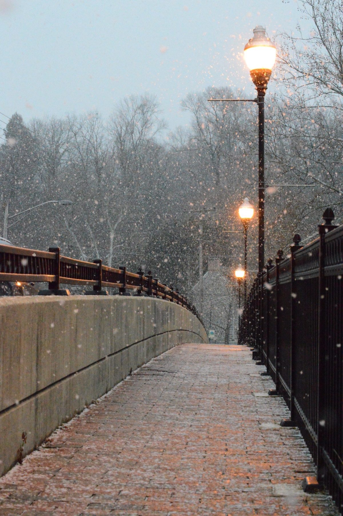 Snowfall on the bridge