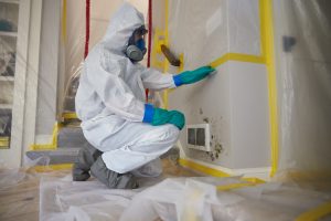 Mold Remediation Chicago - ServiceMaster Restoration By Simons