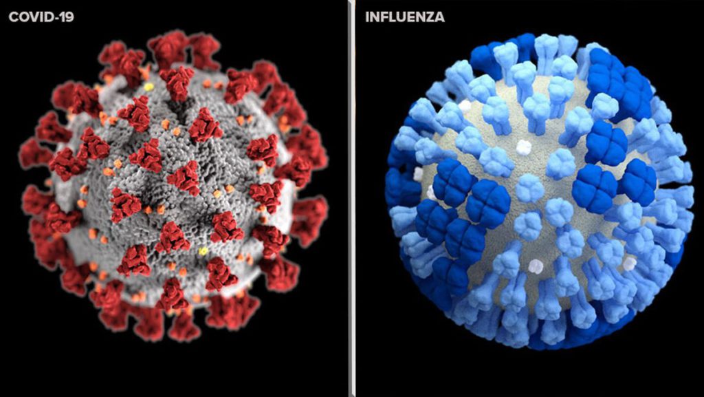 the difference between COVID-19 and the flu