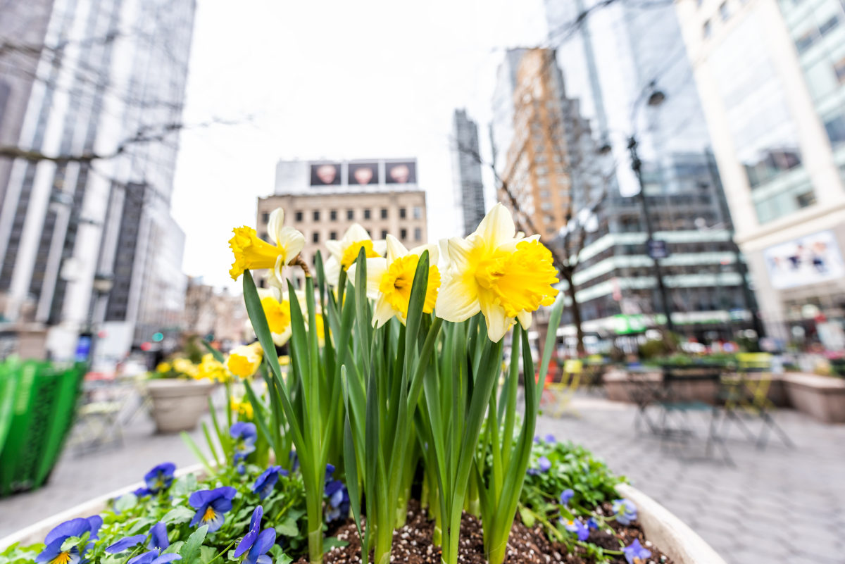 A Spring Cleaning Checklist For Property Managers