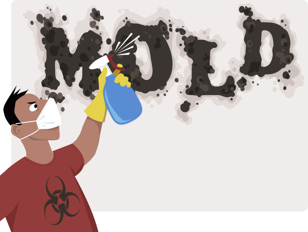 Mold Remediation Chicago