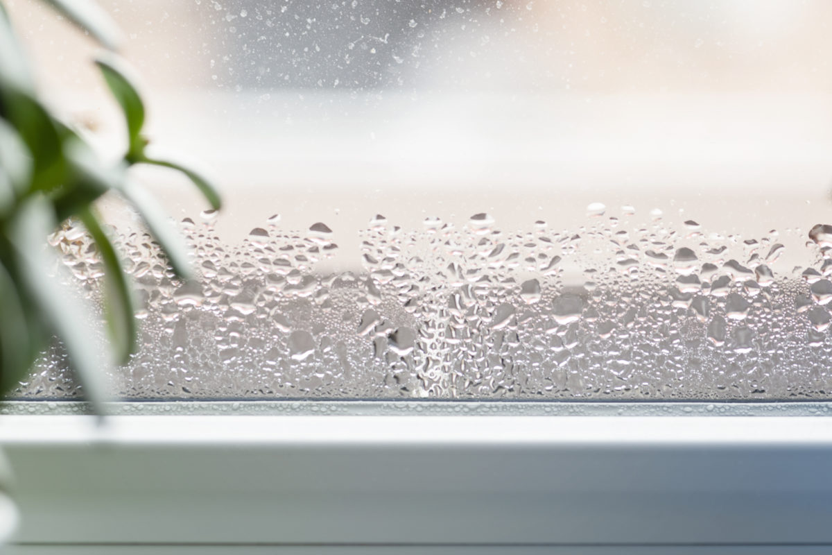 How to Shield Your Chicagoland Home from Moisture and Humidity