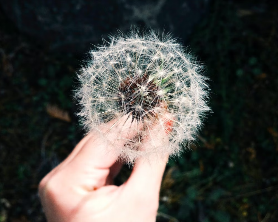 Your Indoor Air Quality Can Be Adversely Affected Year Round