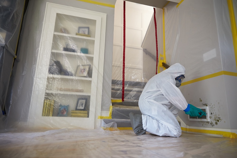 Mold Remediation with containment
