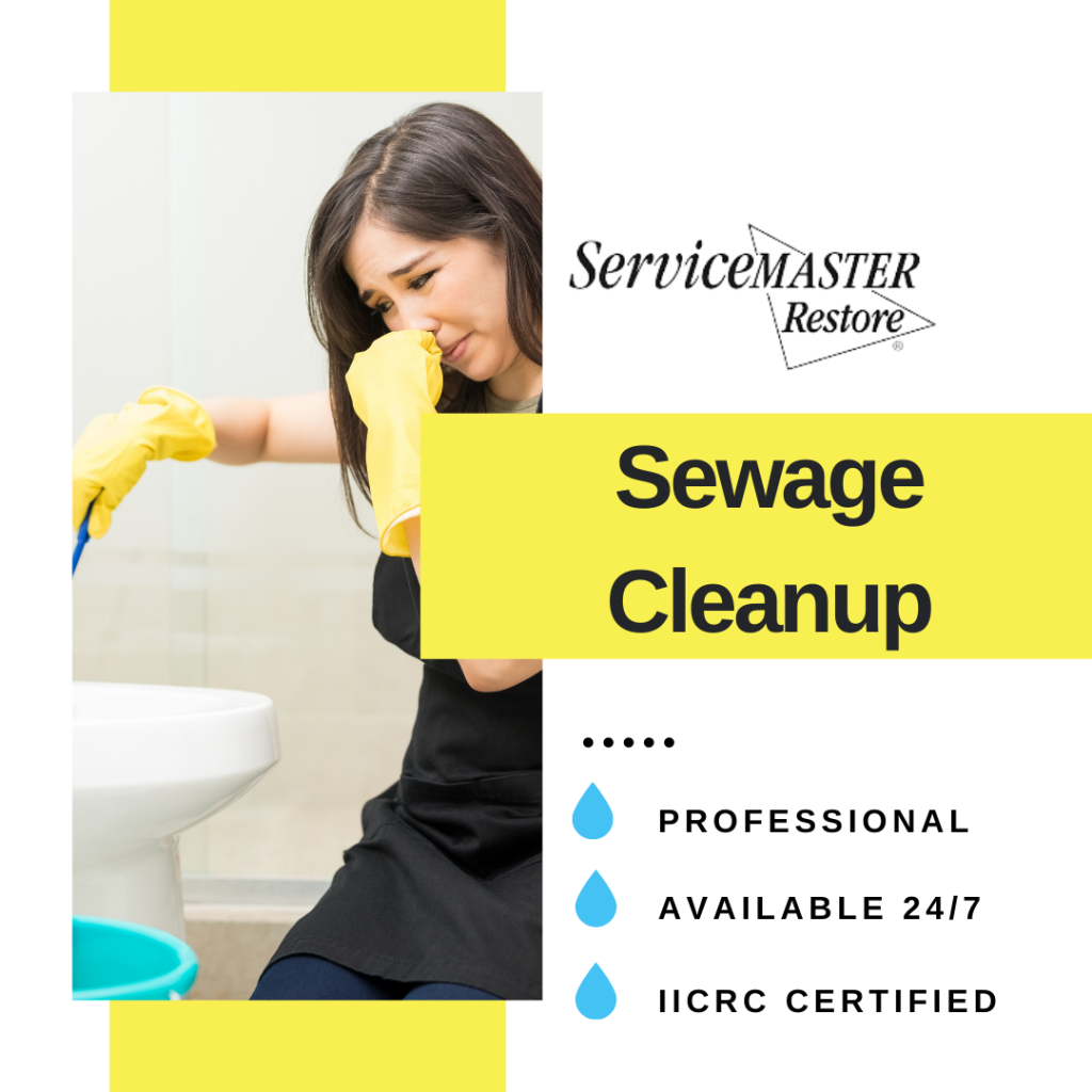 Sewage-Cleanup
