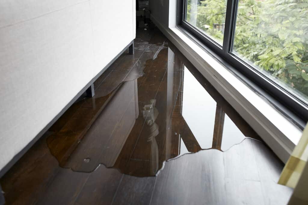Standing water on dark hardwood floor next to window in Chicago home-DIY Water Damage Cleanup Chicago