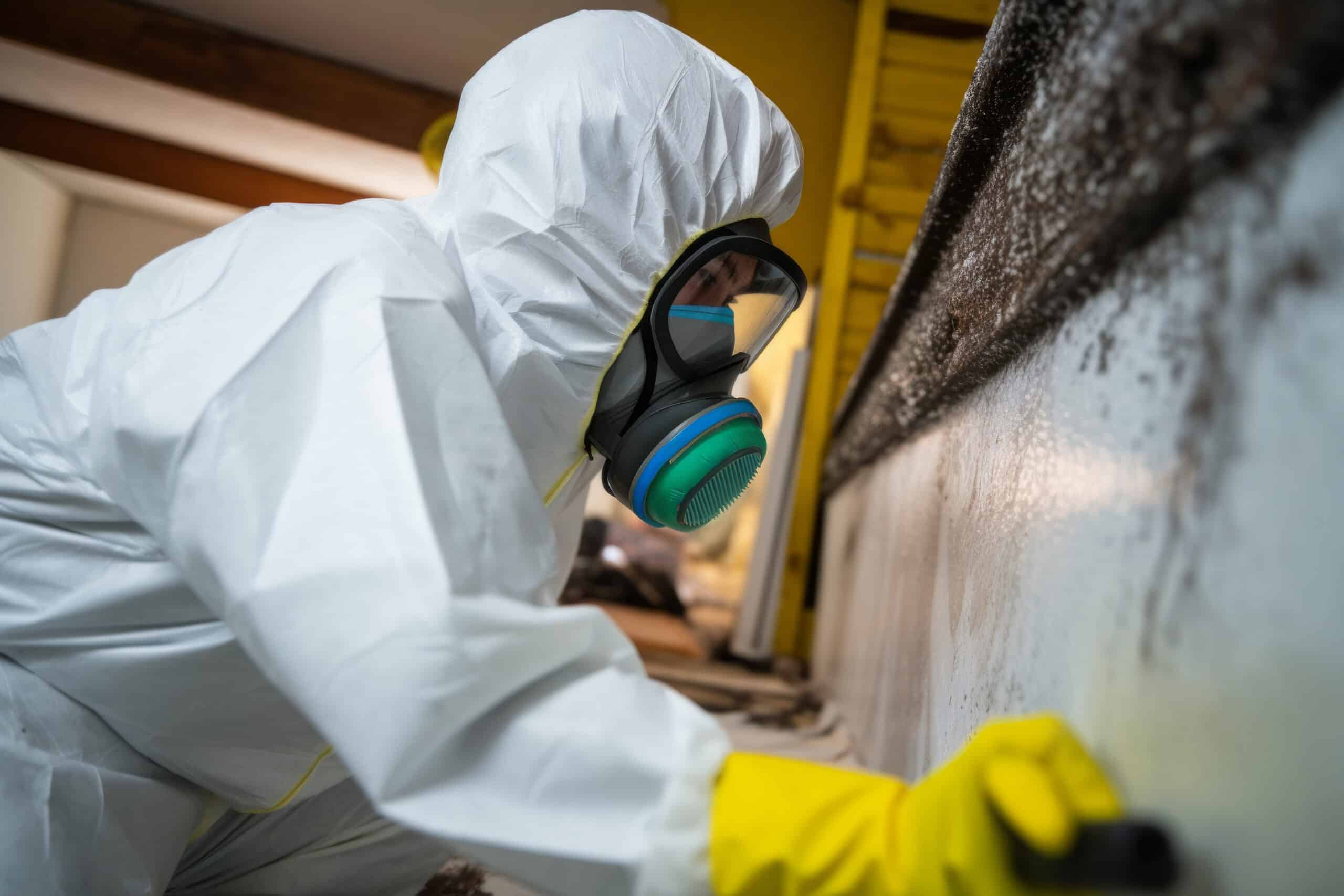 Certified technician in full PPE removing mold from contaminated wall using professional methods